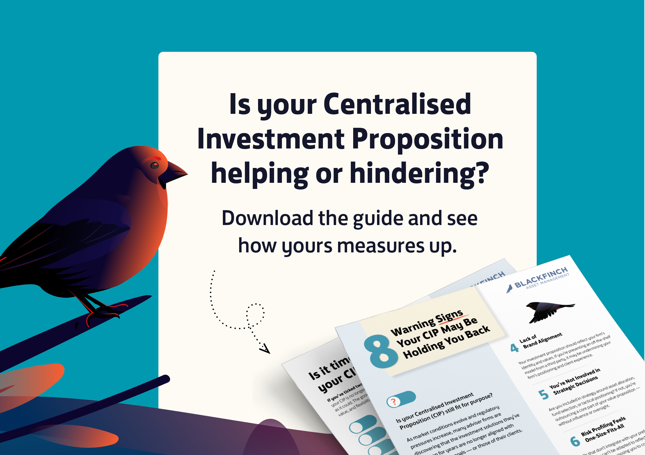 BFAM_8 warning signs.jpg